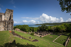 Picture 8 - Restoration of Chateau Dubuc, Martinique.